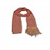 Georgette stole with feathers attached to it Georgette stole with feathers attached to it
